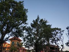 -广州融创文旅城