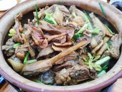 -霞姐屯昌枫木香草鸭店(海螺店)