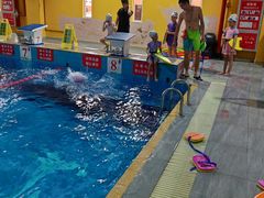 -极动室内恒温游泳馆