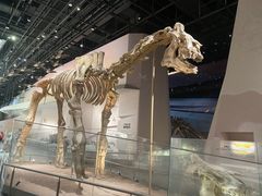 -长江文明馆
