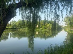 -洋湖国家湿地公园