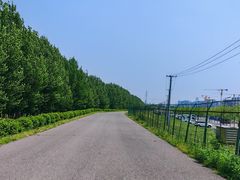 -长白岛森林公园