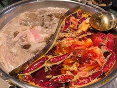 -牛New寿喜烧(金鹰世界店)