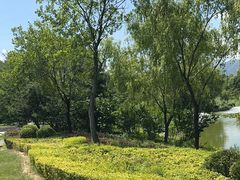 -娲皇宫