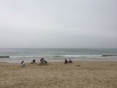 沙滩-西涌国际滨海旅游区