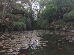 -上海醉白池公园