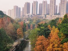 -重庆彩云湖湿地公园