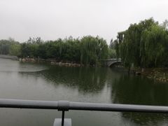 -大兴滨河森林公园