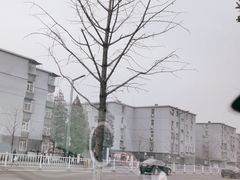 -新世界百货(顺义店)