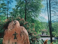 -云溪植物园
