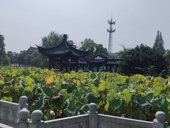 -丝绸小镇荻港古村