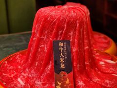 -牛New寿喜烧(金鹰世界店)
