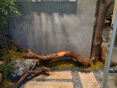 -森SPA·泰式按摩·精油Massage(宝安中心店)