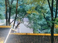 -巴倒烫陆派重庆火锅(南山店)