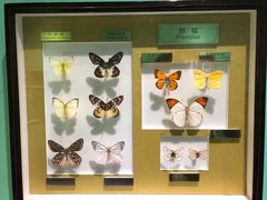 -上海昆虫博物馆