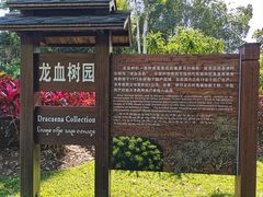 -中国科学院西双版纳热带植物园