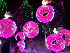 -长春公园(普阳街道)