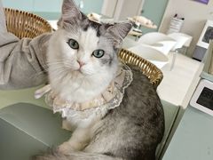 -怪兽屋·羊驼·猫咖·狗咖(俊华广场店)
