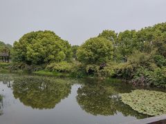 -长广溪湿地公园