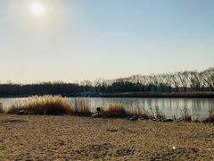 -大兴滨河森林公园