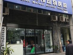 -伟伟宠物医院·CT影像中心·瑞派犬猫综合性门诊(汉口总院)