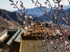 -妙峰山风景名胜区