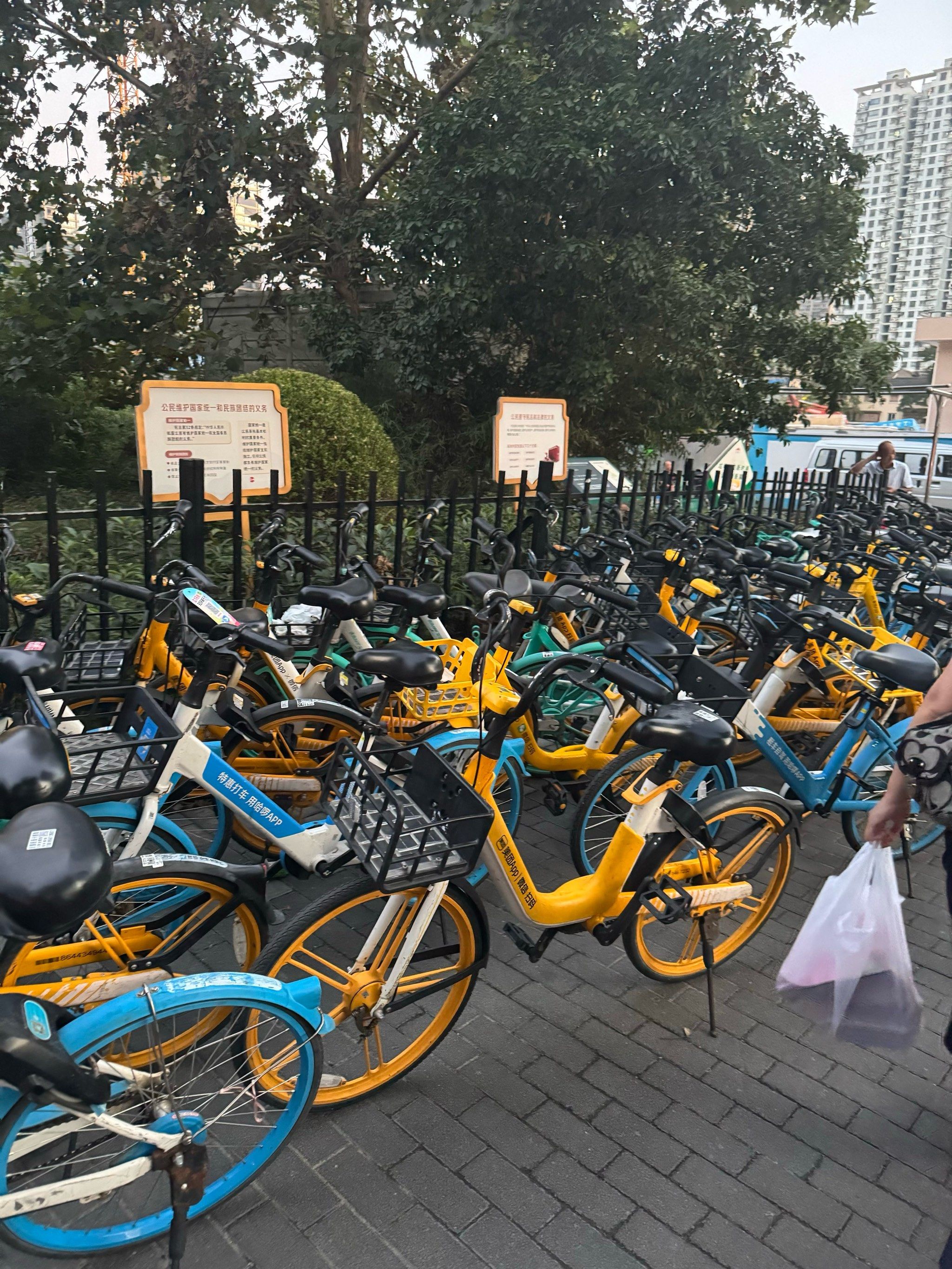 公园里的自行车