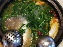-七采菌园·野生菌石锅鱼(环城北路店)