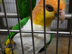 -观桥阁(锦溪店)