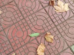 -河南省黄河迎宾馆