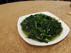 -揭阳钟记小食(福田新村店)