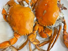 -杨记海鲜楼(三门黑金冠店)