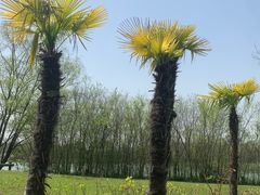 -苏州太湖国家湿地公园