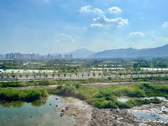 -杨婆婆烤肉(文昌阁店)