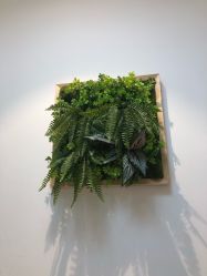 -艺贝image日式中短发设计