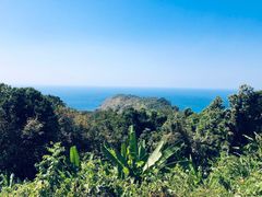 -Naughty Nuri’s Phuket