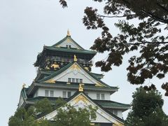 -名古屋城