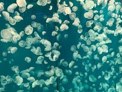 -正佳极地海洋世界