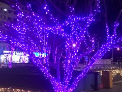 -远洋未来广场(育慧北路店)