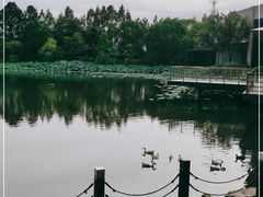 -上海怡沁园度假酒店