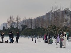 -武昌江滩