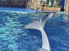 -大连老虎滩海洋公园