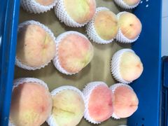 -老袁家蜜桃农场·阳山水蜜桃