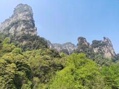 -一品香粉馆(官黎路店)