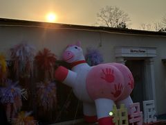 -HERRE·FARM 赫尔露营农场·团建聚会包场