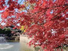 -常熟方塔园