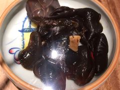 贡品木耳-和府捞面(东直门银座店)
