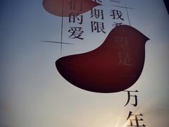 -上海之巅观光厅