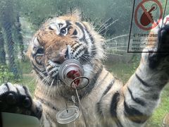 -栾川竹海野生动物园