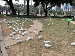 -顺峰山公园